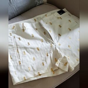 Women's Shorts size 12